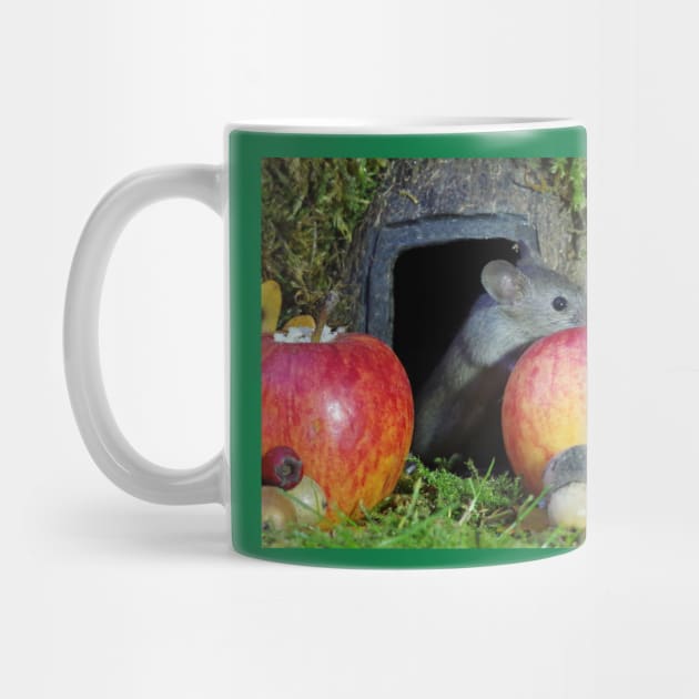 wild house mouse  in a apple by Simon-dell